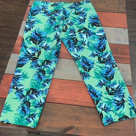 Banana Republic Green & Blue Pants 8 - Picture 2 of 13